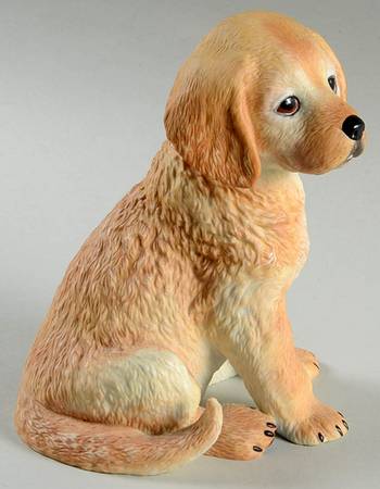 Breed Puppies Golden Retriever - No Box