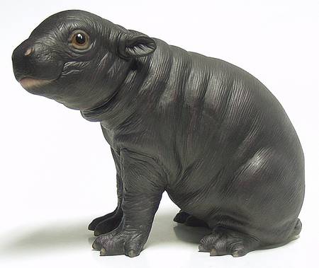 Endangered Baby Animals Pygmy Hippo - Boxed
