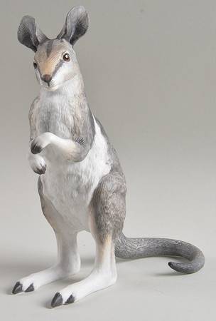 Endangered Baby Animals Bridled Nail-Tailed Wallaby Joey - Boxed