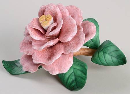 Garden Flowers Camellia - No Box