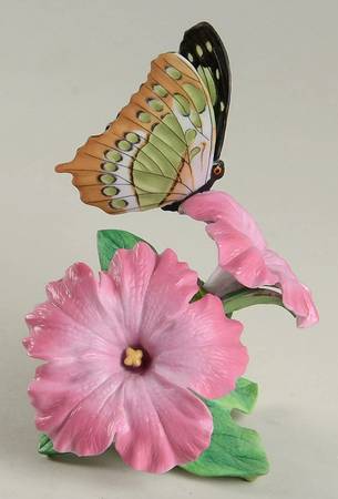 Nature's Beautiful Butterflies Malachite - Boxed