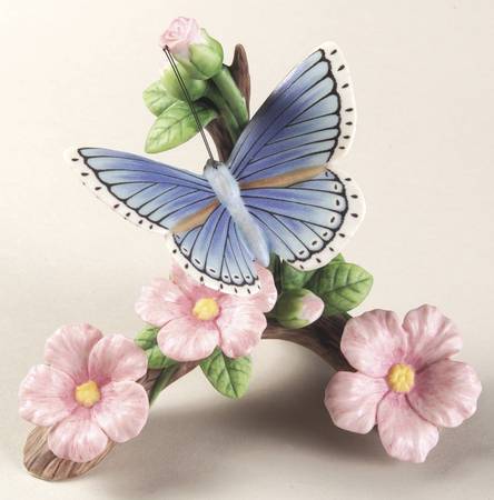 Nature's Beautiful Butterflies Adonis Blue - Boxed