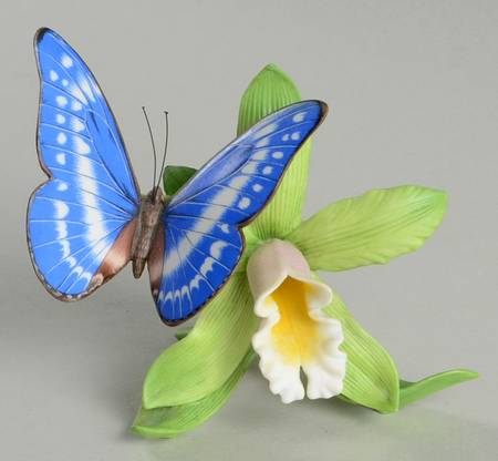 Nature's Beautiful Butterflies Rain Forest Dazzler - No Box