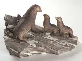 Wildlife of The Seven Continents Fur Seals - Antarctica - No Box