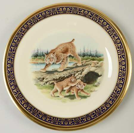 Woodland Wildlife Bobcats - Boxed