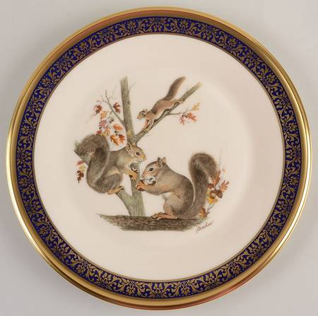 Woodland Wildlife Squirrels - Boxed