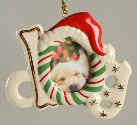 Precious Paws Dog Frame Ornament/Magnet - Boxed