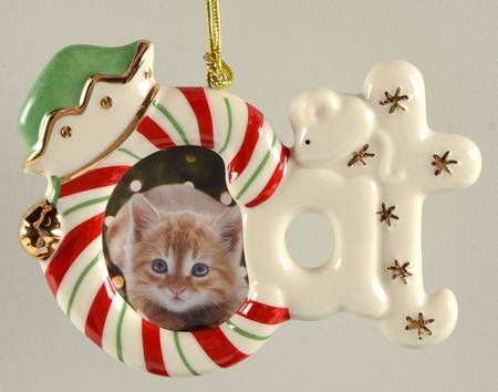 Precious Paws Cat Frame Ornament/Magnet - Boxed