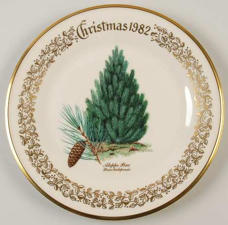 Christmas Tree Aleppo Pine - Boxed