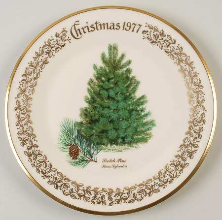 Christmas Tree Scotch Pine - No Box