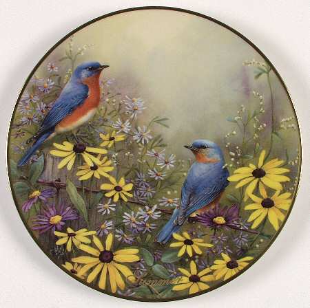 Mcclung Annual Seasons Summer-Bluebirds - Boxed