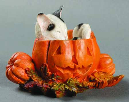 Sweet Kitties Sculpture Collection Lil Pumpkin - Boxed
