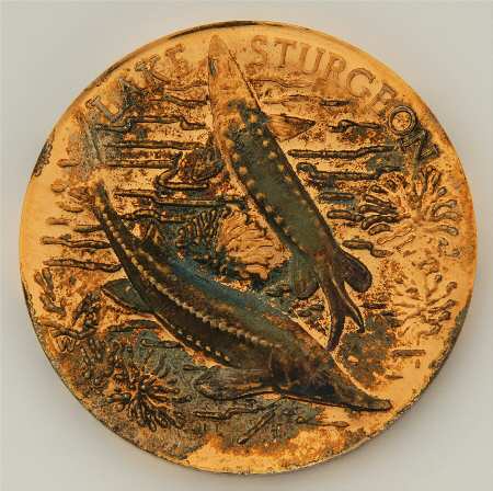 America's Natural Legacy Lake Sturgeon - No Box