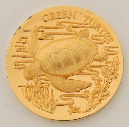 America's Natural Legacy Green Turtle - No Box