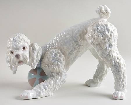 Animals-Domestic Playful Poodle - Boxed