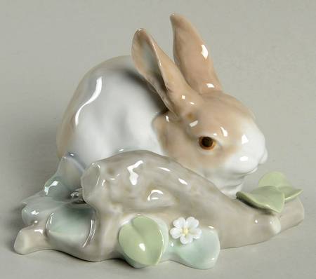 Animals-Domestic Rabbit Eating - Boxed