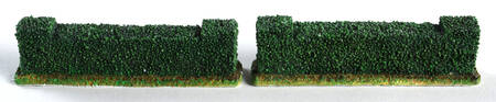 Williamsburg (Large) Boxwood - No Box