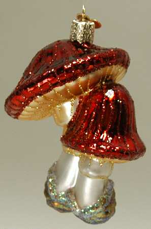 Fruits & Vegetables Double Mushrooms - No Box