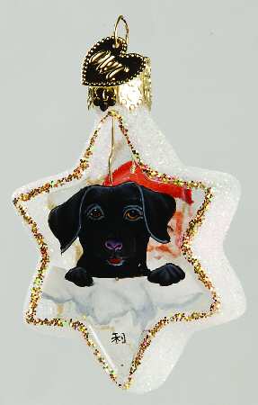 Inside Art Lab Puppy & Santa On Star - With Box Bx1223