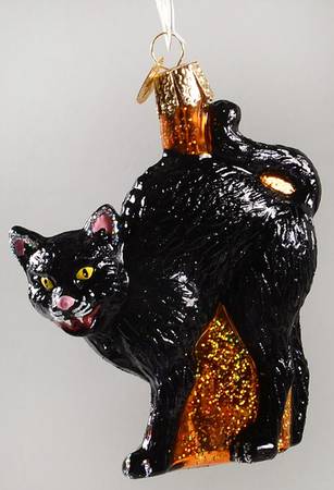 Halloween Scaredy Cat - No Box
