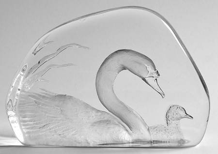 Birds Swan And Cynget - Boxed