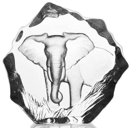 Tropical Animals Elephant - No Box by Mats Jonasson