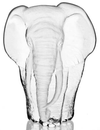 Tropical Animals Elephant - Boxed by Mats Jonasson
