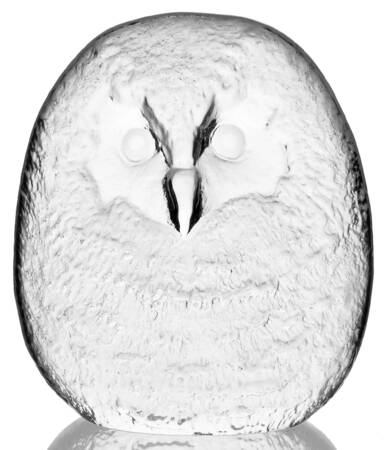 Birds Owl - Boxed