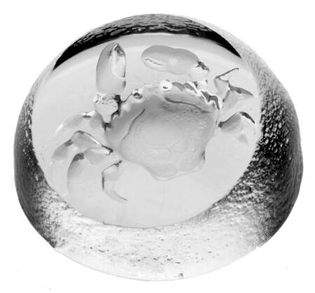Fish Marine Life & Reptiles Crab - Round - No Box