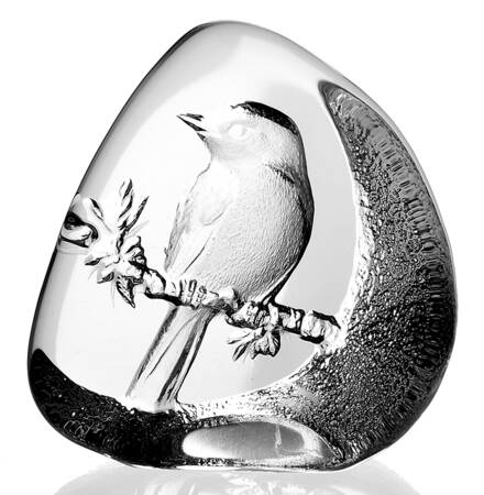 Birds Flycatcher - Boxed by Mats Jonasson