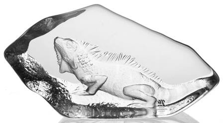 Fish Marine Life & Reptiles Iguana - No Box