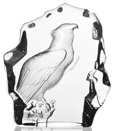 Birds Osprey - Boxed by Mats Jonasson