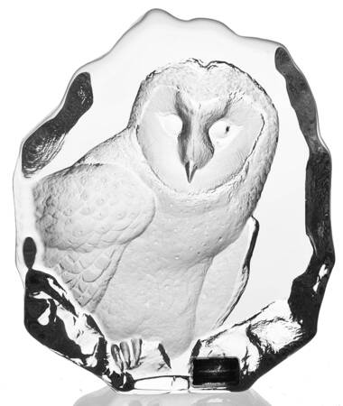 Birds Barn Owl - Boxed by Mats Jonasson