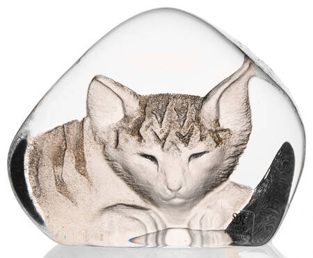Cats Sleeping Cat - Gray - Boxed