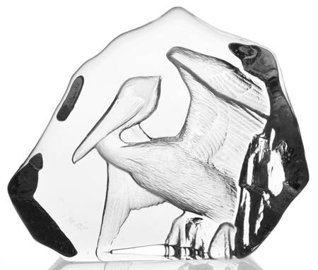 Birds Pelican - Boxed by Mats Jonasson
