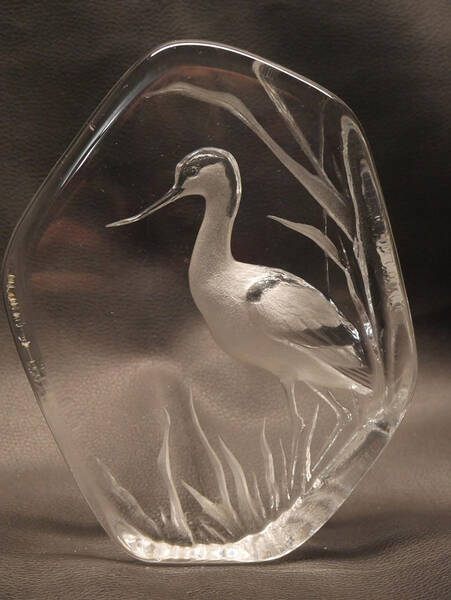 Birds Avocet - Boxed by Mats Jonasson