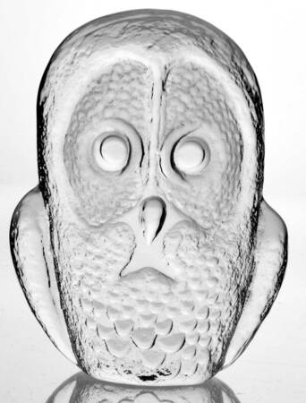 Birds Owl - No Box