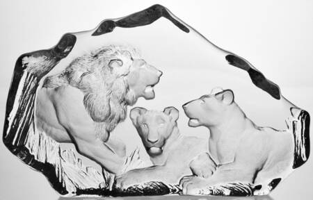 Tropical Animals Family Of Lions - No Box by Mats Jonasson