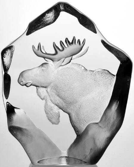 Nordic Animals Moose Head - Boxed