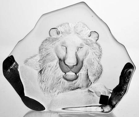 Tropical Animals Lion - No Box by Mats Jonasson