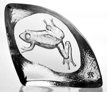 Fish Marine Life & Reptiles Frog - Boxed