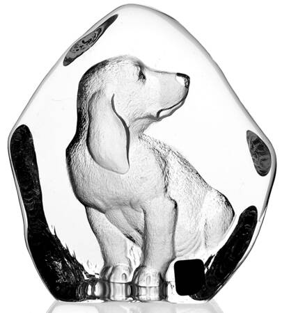 Man's Best Friend Beagle Pup - No Box