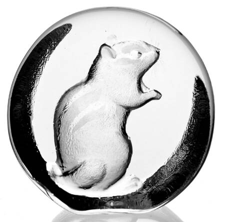 Nordic Animals Chipmunk - Boxed