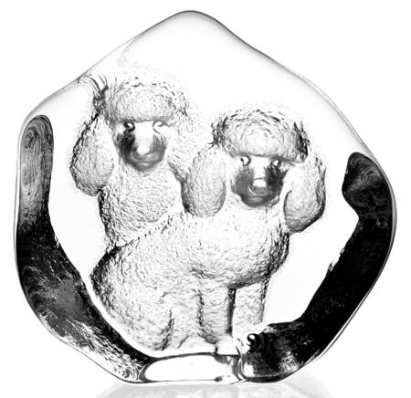 Man's Best Friend Poodles - No Box