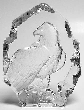 Birds Bald Eagle - With Box by Mats Jonasson