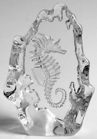 Fish Marine Life & Reptiles Seahorse - Boxed