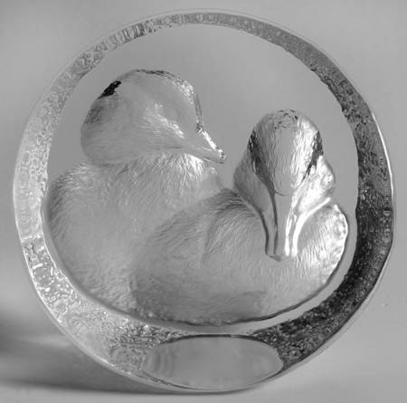 Birds Ducklings - Boxed by Mats Jonasson