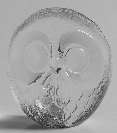 Birds Owl - No Box 60