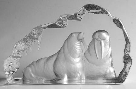 Nordic Animals Walruses - Boxed