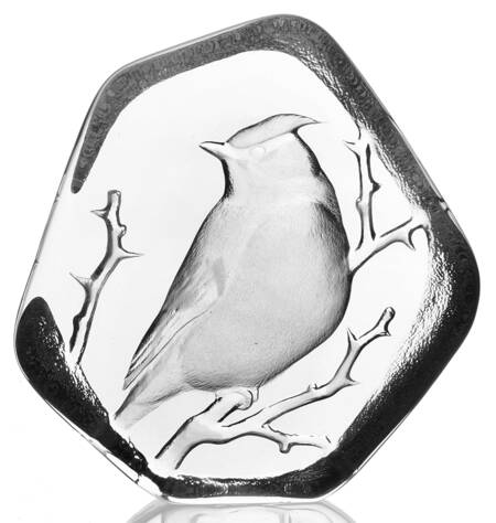 Birds Cardinal - No Box by Mats Jonasson